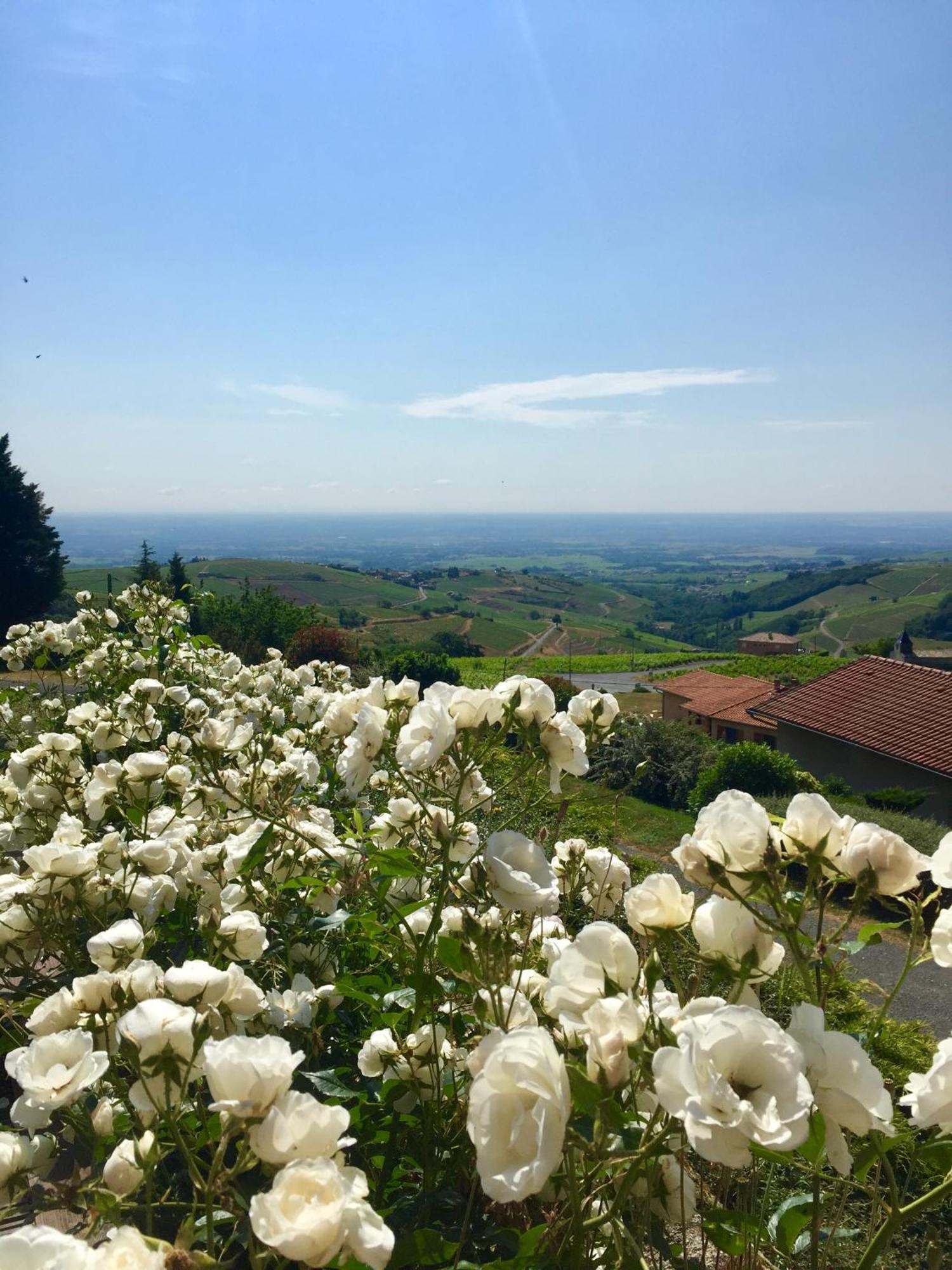 Le Balcon Du Fetre Bed & Breakfast Chiroubles Exterior photo