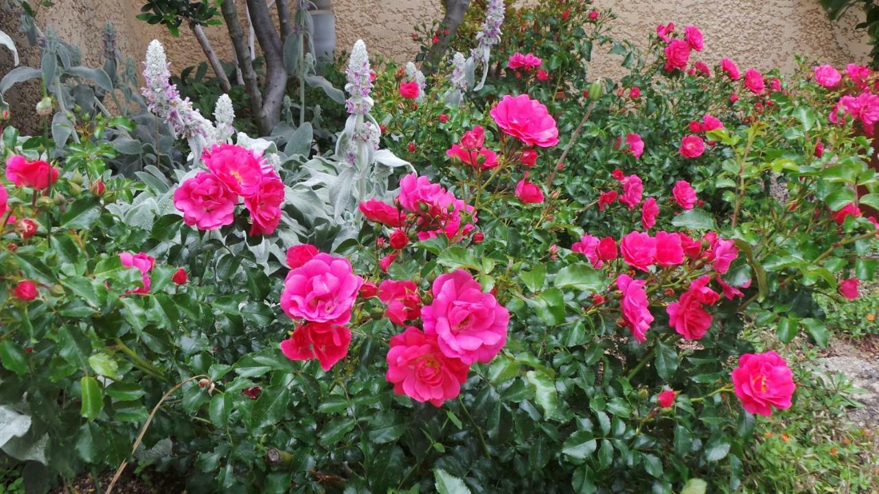 Le Balcon Du Fetre Bed & Breakfast Chiroubles Exterior photo